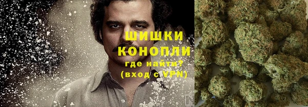 ПСИЛОЦИБИНОВЫЕ ГРИБЫ Нязепетровск