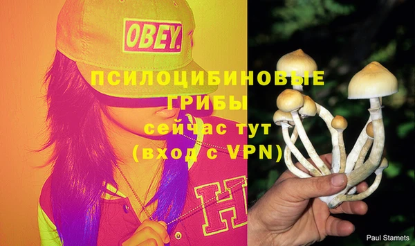 кристаллы Осинники
