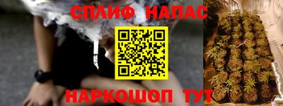 не бодяженный Гай