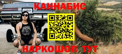 гидропоника Гатчина