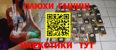 не бодяженный Гай