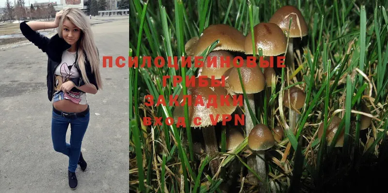 цена наркотик  Благовещенск  Галлюциногенные грибы MAGIC MUSHROOMS 