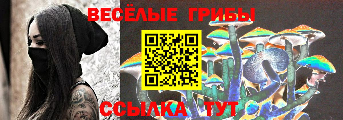 Галлюциногенные грибы мицелий Благовещенск