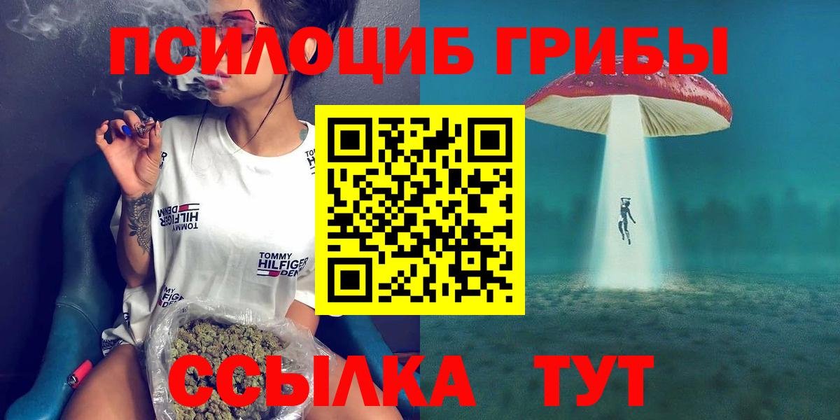 Галлюциногенные грибы GOLDEN TEACHER  закладка  Благовещенск  Вход с VPN 
